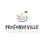 Logo de la commune Profondeville