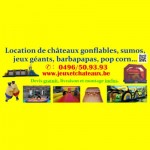 Logo de Jeux et Chateaux