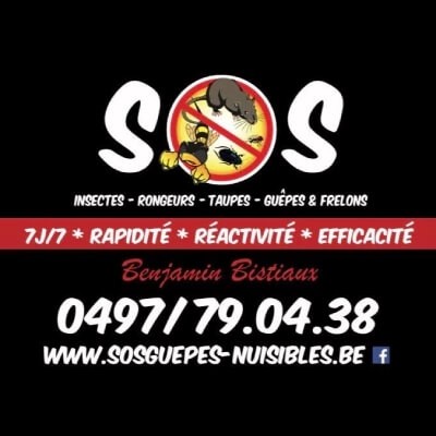 Logo de SOS Guêpes